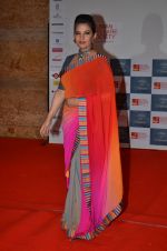 Shabana Azmi at the red carpet for Manish Malhotra Show Men for Mijwan in Mumbai on 1st April 2014  (207)_533bf0e27b412.JPG