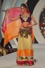 at Femina Miss India sub contest round in Mumbai on 1st April 2014 (90)_533be94d1c4ce.JPG