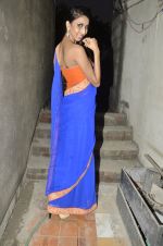 Model walks for Shouger Merchant in Villa 69, Mumbai on 5th April 2014 (43)_5342aebcce2a0.JPG