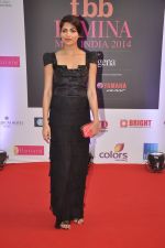 Parvathy Omanakuttan at Femina Miss India red carpet arrivals in YRF, Mumbai on 5th april 2014 (9)_5343621e5a60a.JPG