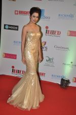 at Femina Miss India red carpet arrivals in YRF, Mumbai on 5th april 2014 (138)_5343639ae3540.JPG
