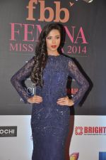 at Femina Miss India red carpet arrivals in YRF, Mumbai on 5th april 2014 (142)_534363aed29a9.JPG