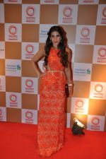 at Swades Fundraiser show in Mumbai on 10th April 2014(192)_5347c96d45a13.JPG