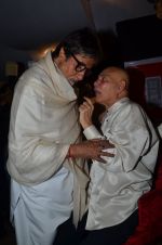 Amitabh Bachchan at Bombay To Goa special screening in PVR, Mumbai on 12th April 2014 (84)_534a1a9052246.JPG