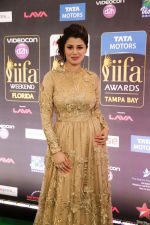 Kainaat Arora at IIFA ROCKS Green Carpet in Tampa Convention Center on 24th April 2014 (2)_535c0162afead.jpg