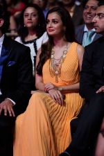 Dia Mirza at IIFA Magic of the Movies in Mid Florida Credit Union Amphitheater on 25th April 2014 (11)_535cf8470ea24.jpg