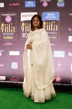at IIFA ROCKS Green Carpet in Tampa Convention Center on 24th April 2014 (47)_535df5fcd2a02.jpg