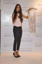 Lisa haydon at marks n spencer lingerie launch in Malad, Mumbai on 7th May 2014 (24)_536aeb2eb45fa.JPG