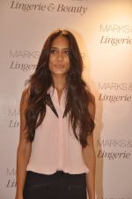 Lisa haydon at marks n spencer lingerie launch in Malad, Mumbai on 7th May 2014 (36)_536aeb5292e86.JPG
