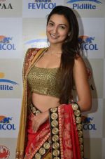 Gauhar Khan at fevicol fashion preview by shaina nc in Mumbai on 8th May 2014 (14)_536c520683826.jpg