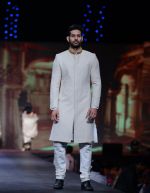 walks for Vikram Phadnis at Pidilite CPAA Show in NSCI, Mumbai on 11th May 2014  (20)_5370b408ea375.JPG
