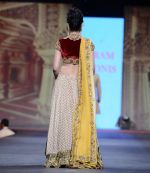 walks for Vikram Phadnis at Pidilite CPAA Show in NSCI, Mumbai on 11th May 2014  (55)_5370b4a2cd68b.JPG