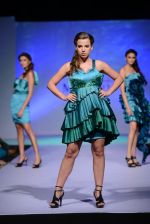 at Modart fashion show in Sea Princess, Mumbai on 13th May 2014 (68)_537363d4873a9.JPG