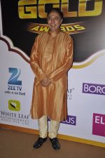 Anang Desai at Gold Awards red carpet in Filmistan, Mumbai on 17th May 2014 (295)_5378a1780504f.JPG