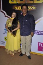 at Gold Awards red carpet in Filmistan, Mumbai on 17th May 2014 (291)_5378a1a3dd9f1.JPG