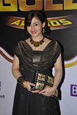 at Gold Awards red carpet in Filmistan, Mumbai on 17th May 2014 (311)_5378a1a96c374.JPG