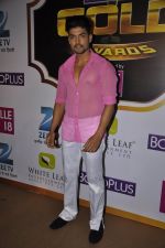at Gold Awards red carpet in Filmistan, Mumbai on 17th May 2014 (354)_5378a1aff091b.JPG
