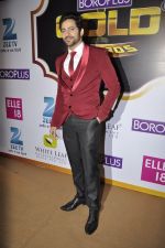 at Gold Awards red carpet in Filmistan, Mumbai on 17th May 2014 (361)_5378a1b07d599.JPG