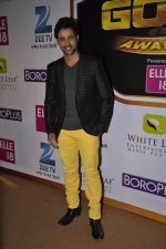 at Gold Awards red carpet in Filmistan, Mumbai on 17th May 2014 (421)_5378a1bd15241.JPG