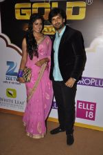 at Gold Awards red carpet in Filmistan, Mumbai on 17th May 2014 (427)_5378a1c055f74.JPG