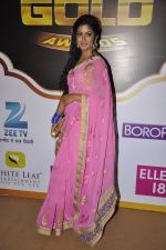 at Gold Awards red carpet in Filmistan, Mumbai on 17th May 2014 (429)_5378a1c16a95f.JPG