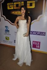 at Gold Awards red carpet in Filmistan, Mumbai on 17th May 2014 (446)_5378a1c7ae280.JPG