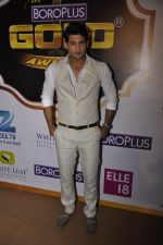 at Gold Awards red carpet in Filmistan, Mumbai on 17th May 2014 (458)_5378a1c9a2981.JPG
