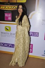 at Gold Awards red carpet in Filmistan, Mumbai on 17th May 2014 (459)_5378a1ca316ca.JPG