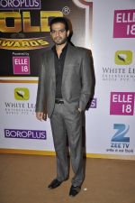 at Gold Awards red carpet in Filmistan, Mumbai on 17th May 2014 (473)_5378a1cc4163d.JPG