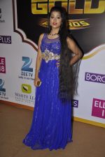 at Gold Awards red carpet in Filmistan, Mumbai on 17th May 2014 (479)_5378a1ccb9f3b.JPG