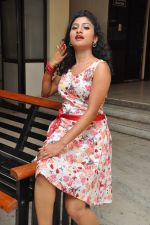 Vishnu Priya (108)_5379d5e26cdb3.jpg