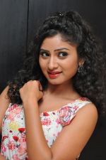 Vishnu Priya (61)_5379d5c6c97a3.jpg