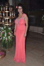at TV actor Kanan Malhotra and Akanksha_s wedding reception in The Club, Mumbai on 21st May 2014 (70)_537d6eac21bbe.JPG
