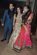 at TV actor Kanan Malhotra and Akanksha_s wedding reception in The Club, Mumbai on 21st May 2014 (72)_537d6ead20d9f.JPG