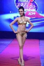 at Pefect Miss Mumbai beauty contest in St Andrews, Mumbai on 24th May 2014 (117)_5381c3327d293.JPG
