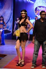 at Pefect Miss Mumbai beauty contest in St Andrews, Mumbai on 24th May 2014 (139)_5381c33ef1dab.JPG
