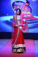 at Pefect Miss Mumbai beauty contest in St Andrews, Mumbai on 24th May 2014 (212)_5381c36167fac.JPG