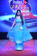 at Pefect Miss Mumbai beauty contest in St Andrews, Mumbai on 24th May 2014 (230)_5381c36b0570f.JPG