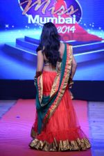 at Pefect Miss Mumbai beauty contest in St Andrews, Mumbai on 24th May 2014 (233)_5381c36ca4962.JPG