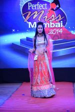 at Pefect Miss Mumbai beauty contest in St Andrews, Mumbai on 24th May 2014 (250)_5381c37577b6e.JPG