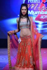 at Pefect Miss Mumbai beauty contest in St Andrews, Mumbai on 24th May 2014 (252)_5381c3767a864.JPG