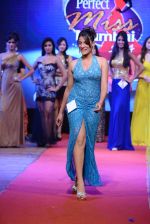 at Pefect Miss Mumbai beauty contest in St Andrews, Mumbai on 24th May 2014 (279)_5381c38232a45.JPG
