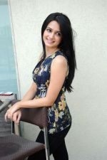 Kriti Kharbanda  (8)_5385886a5ebe8.jpg