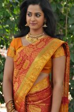 Nanditha (2)_5385949e58b2c.jpg