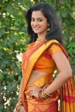 Nanditha (32)_538594b93ac3e.jpg