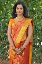 Nanditha (35)_538594bb5a4bf.jpg