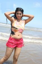 Telugu Actress Prathista Hot Spicy Stills (12)_538595f06f5b8.jpg
