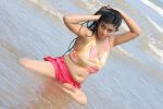 Telugu Actress Prathista Hot Spicy Stills (8)_538595eeb1c57.jpg