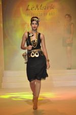Model at Le Mark fashion show in St Andrews, Mumbai on 31st May 2014 (125)_538a95e6b72d0.JPG