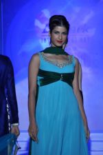 Model at Le Mark fashion show in St Andrews, Mumbai on 31st May 2014 (13)_538a9580e7179.JPG